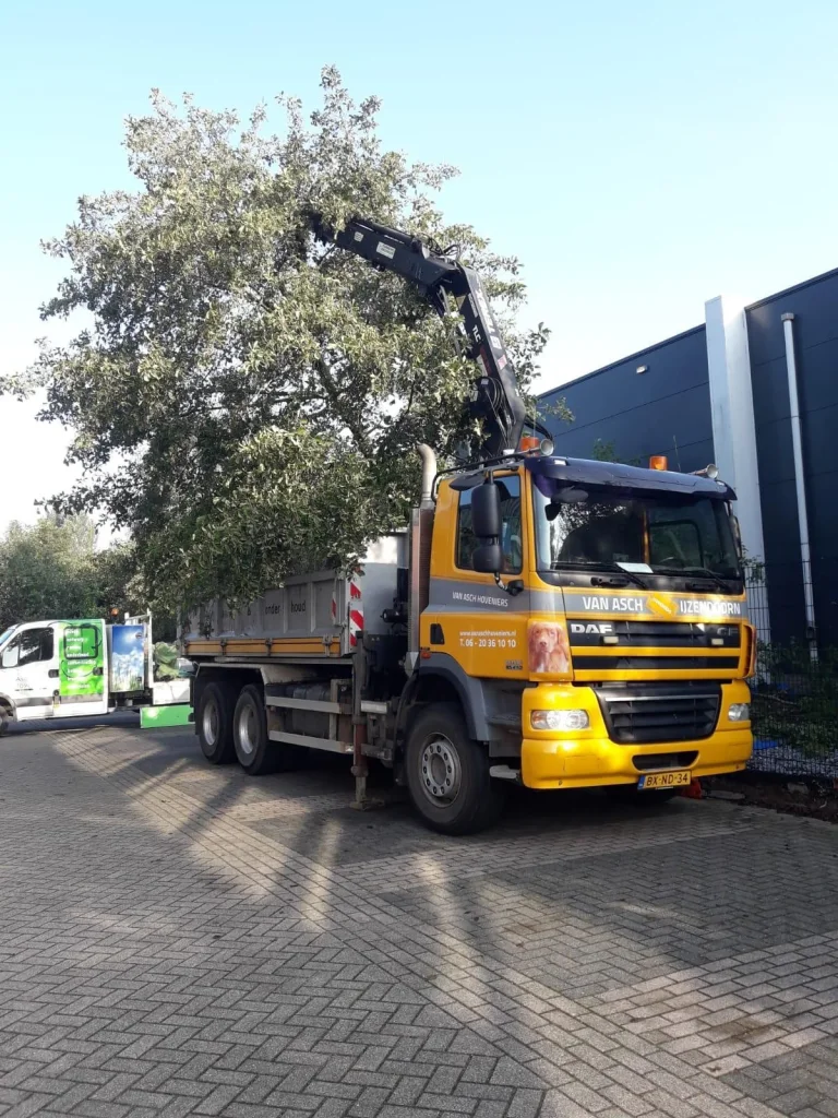 WhatsApp Image 2026-08-24 at 19.42.05